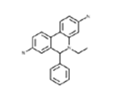 Oxyethidium - 200µM - NOX-14.1-200µM
